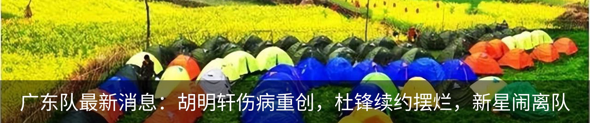 新闻动态