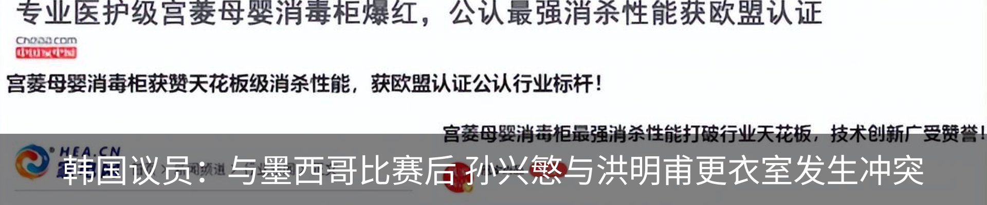 新闻动态